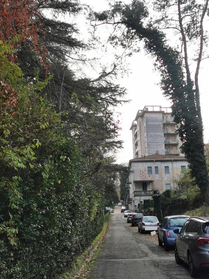 Lovely View Albizzate Exterior photo